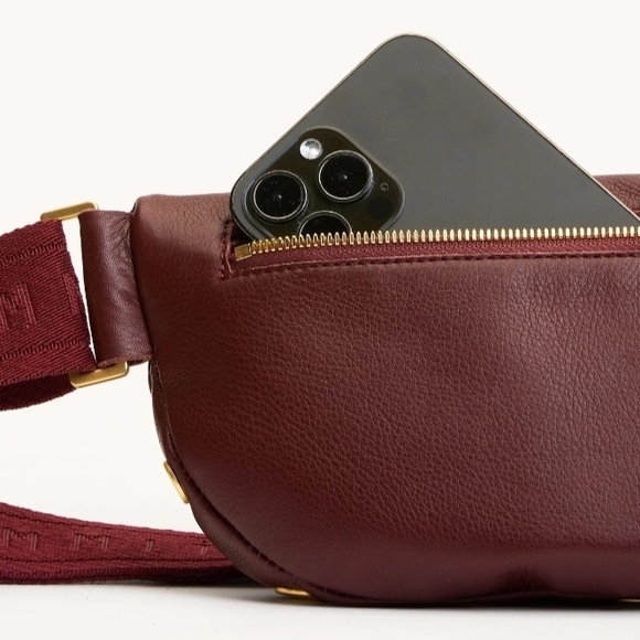 Hammitt Charles Crossbody med Cherrywood Pebble/Brushed Gold - Picture 4 of 10